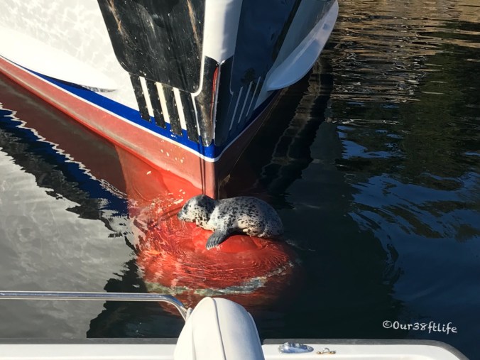 42A1A996-F02E-4BE3-8652-EECDE1D14E9D