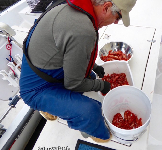 6998C669-DED5-4ACE-8F5E-F1E6FE7E7A21