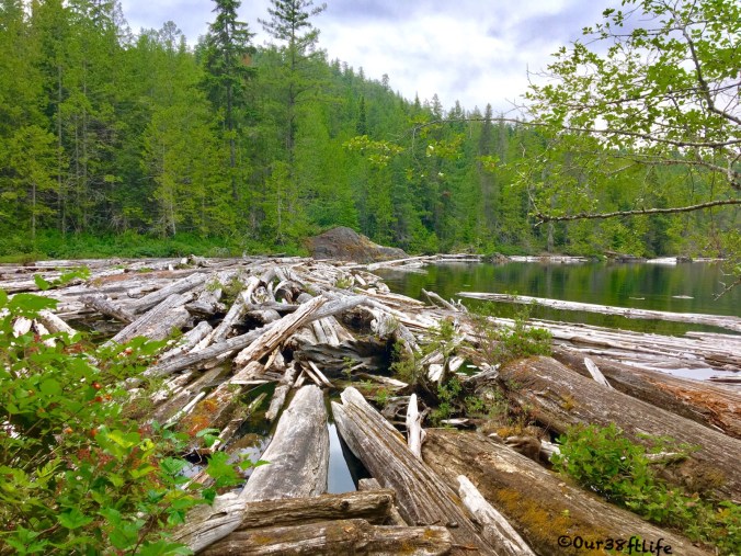 E599685C-BC40-43B4-8FD1-CD4326695D82