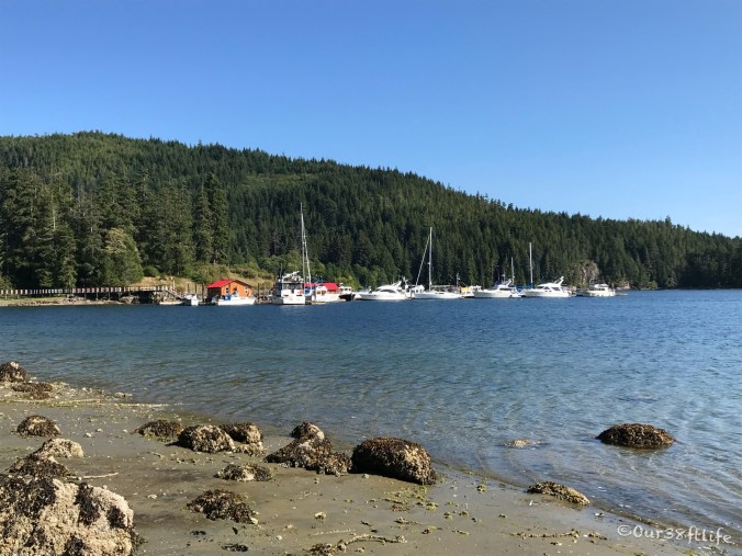 EB6C4B24-7145-4F86-A83E-36F0FE49AEDE