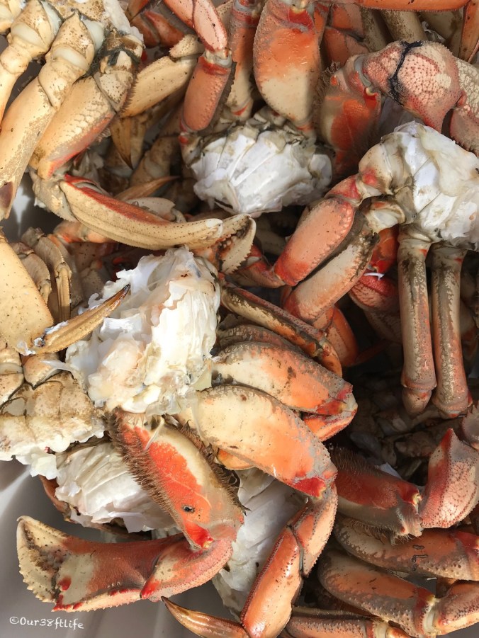 235889F9-27DD-43DD-9048-1774B969F588