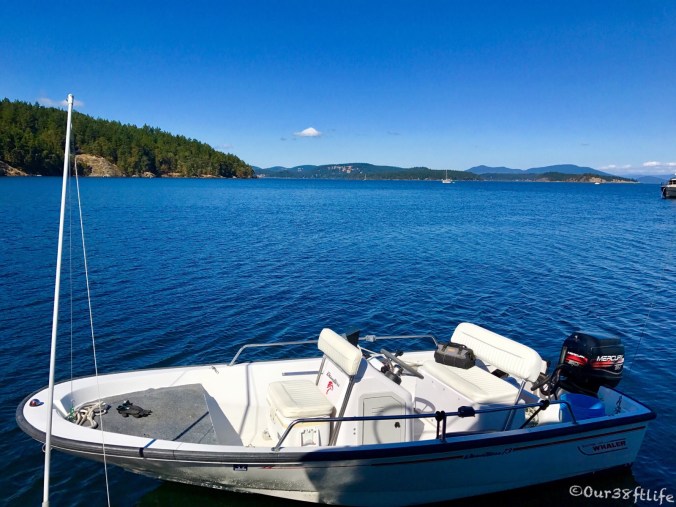 C954EB9D-30B8-4C1B-BD85-4F6AD9EAE170