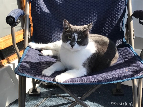 D20E0E58-A580-4CC1-B529-3DDCCEEAA068