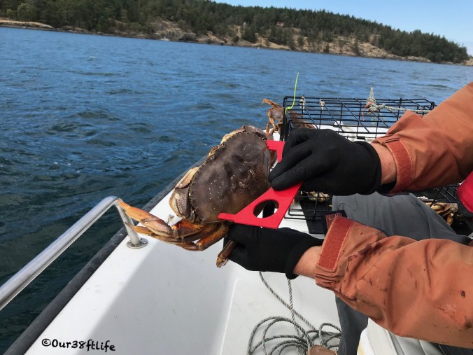 DA56F302-5C52-4210-9B70-34F520552CAA