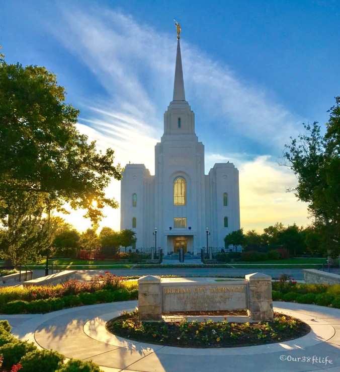 8B695E6D-BC3B-46C8-A91E-65E73F1F5D2C