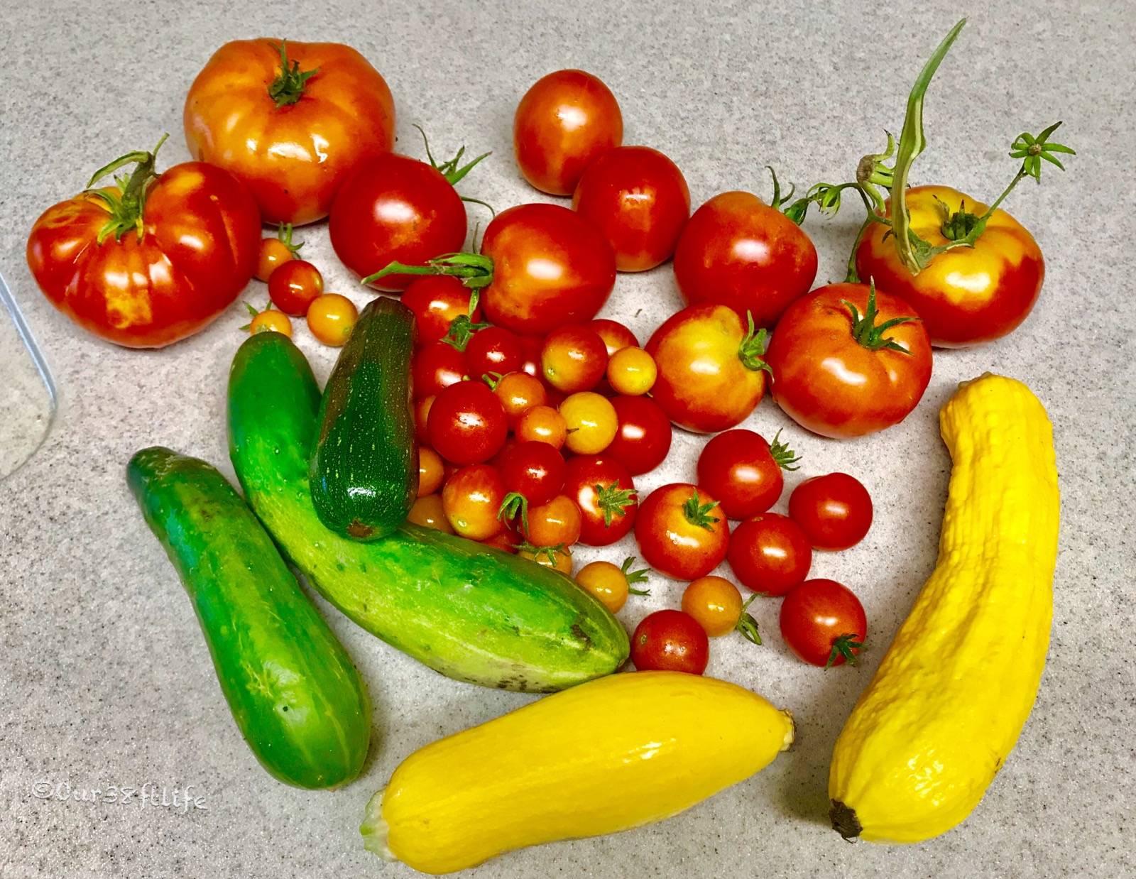 FEA41E3B-4986-4658-A764-309822A8B7CA