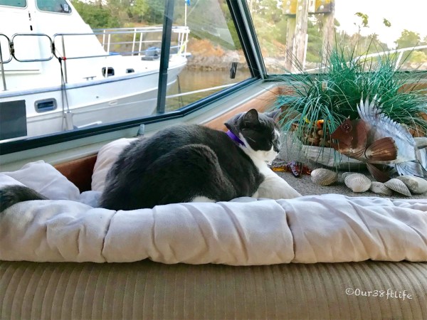 1770D538-67AA-4336-B8E5-38548DF0BC4D