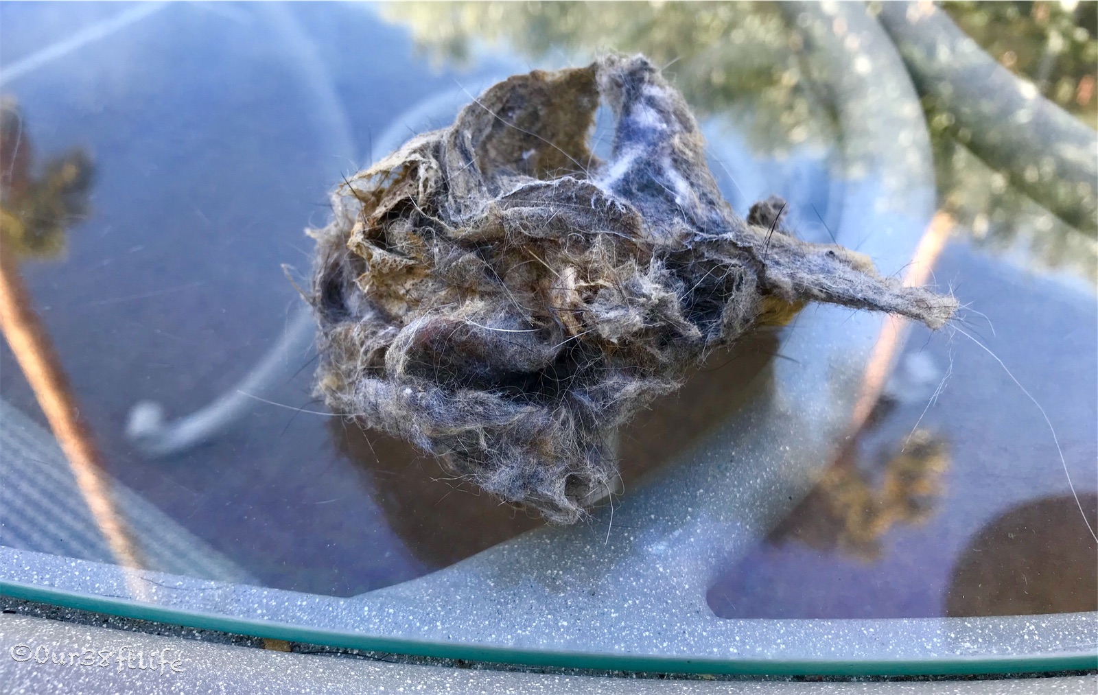 1A50807A-5C42-4368-8FAC-2C2A451B8C28