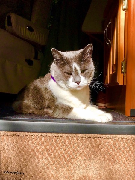 2049FA49-5C99-4F95-A880-1C56BA0C5ECD