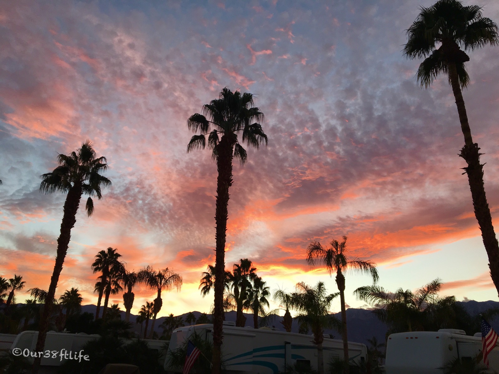 EA94C49E-C919-474B-BF2F-B85A0D7E9FAE