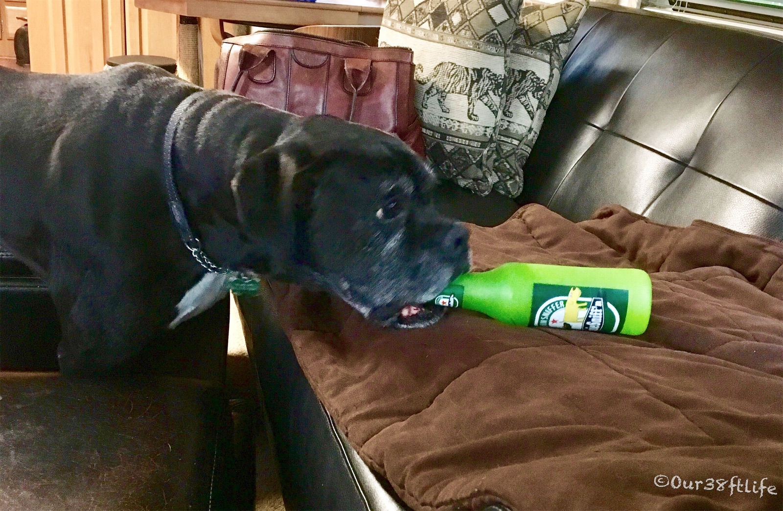 588da761-b684-4384-b95f-ff6e998baebb