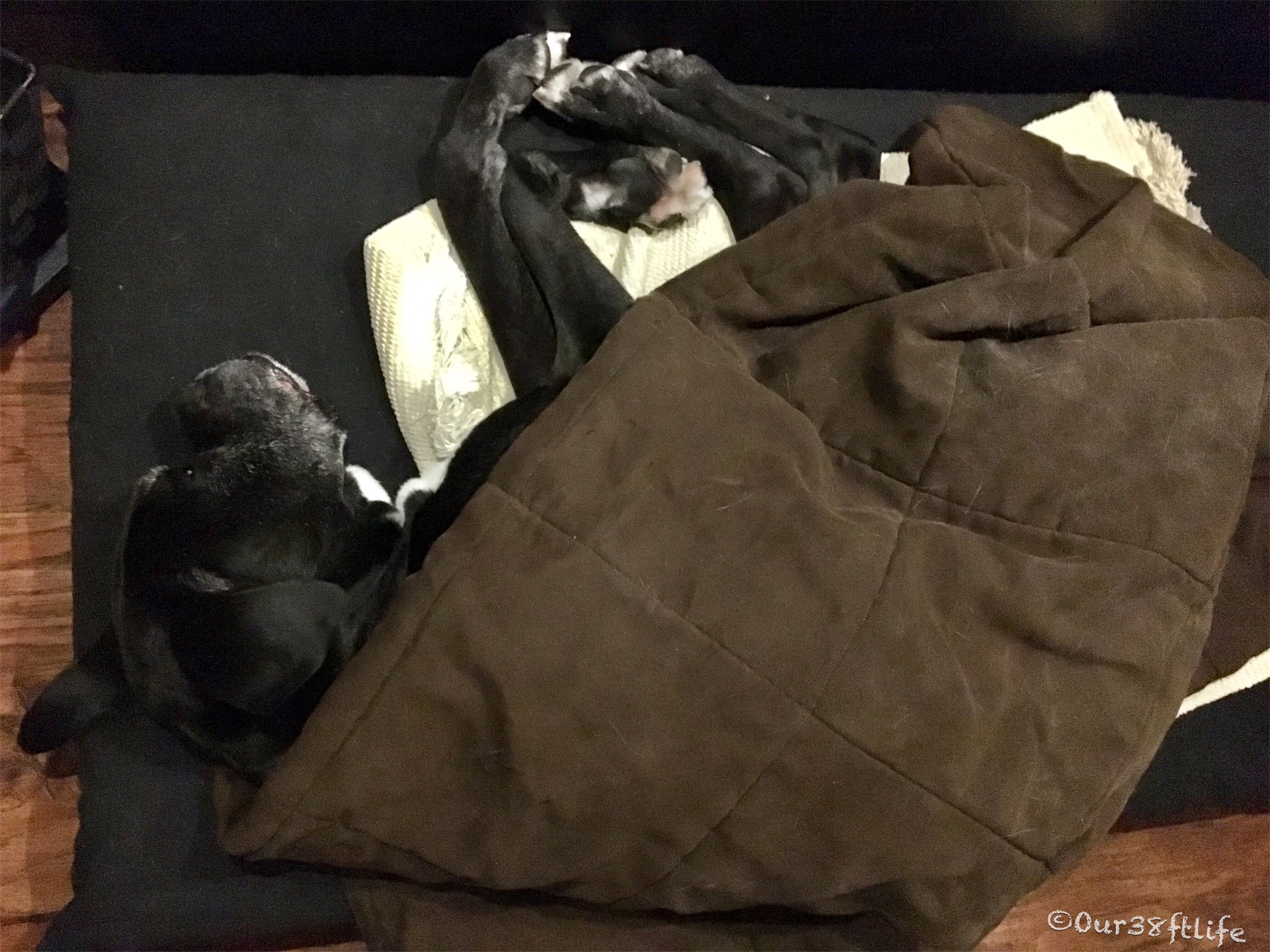 b68e86f1-6a74-4e51-b8b7-164b0a3d22b8